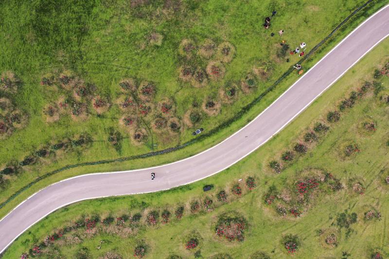 荆门圣境花谷绿意盎然图片