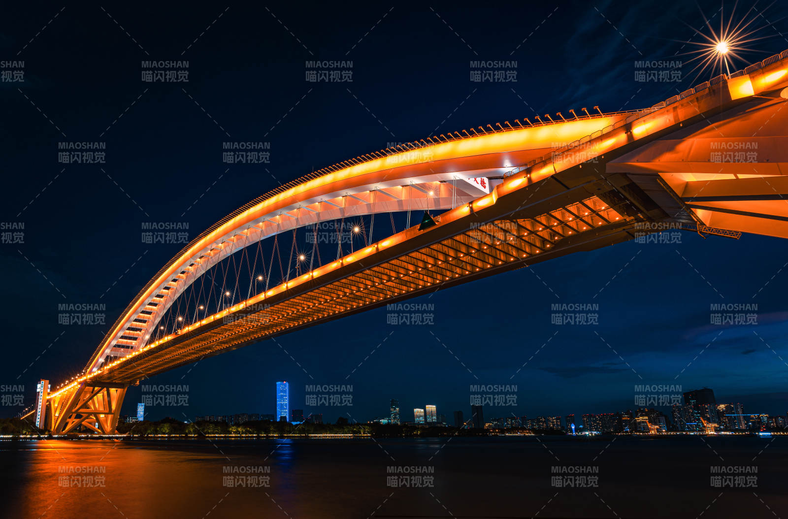 夜色中的拱桥灯火辉煌  卢浦大桥图片