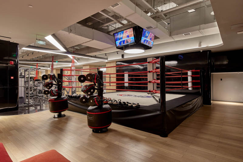 现代健身房拳击区图片