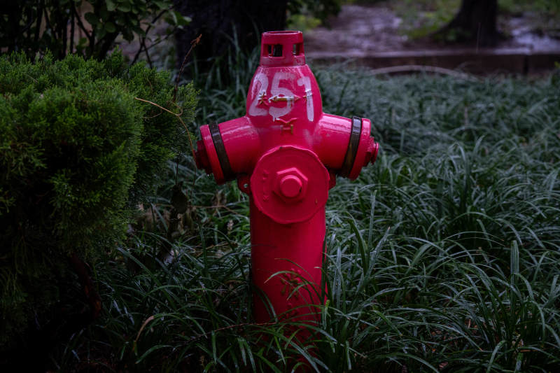 红色消防栓在绿植中图片