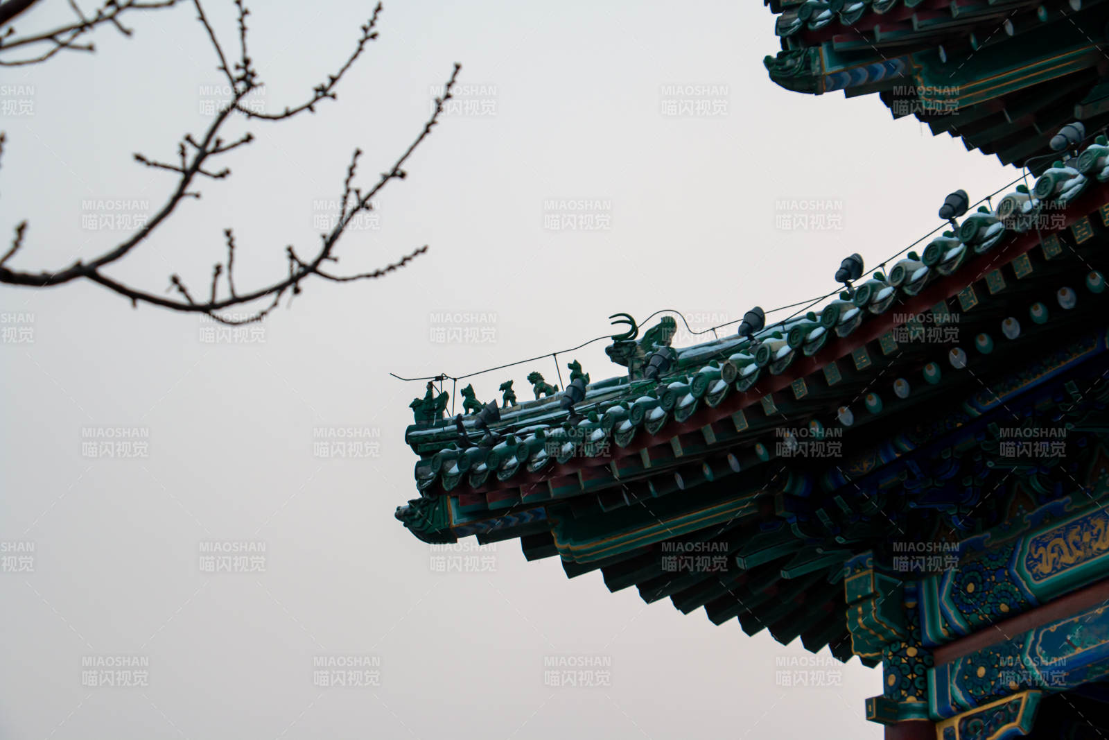 古建筑飞檐与树枝剪影图片