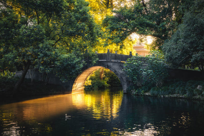 桥影映水 林间幽静--杭州图片
