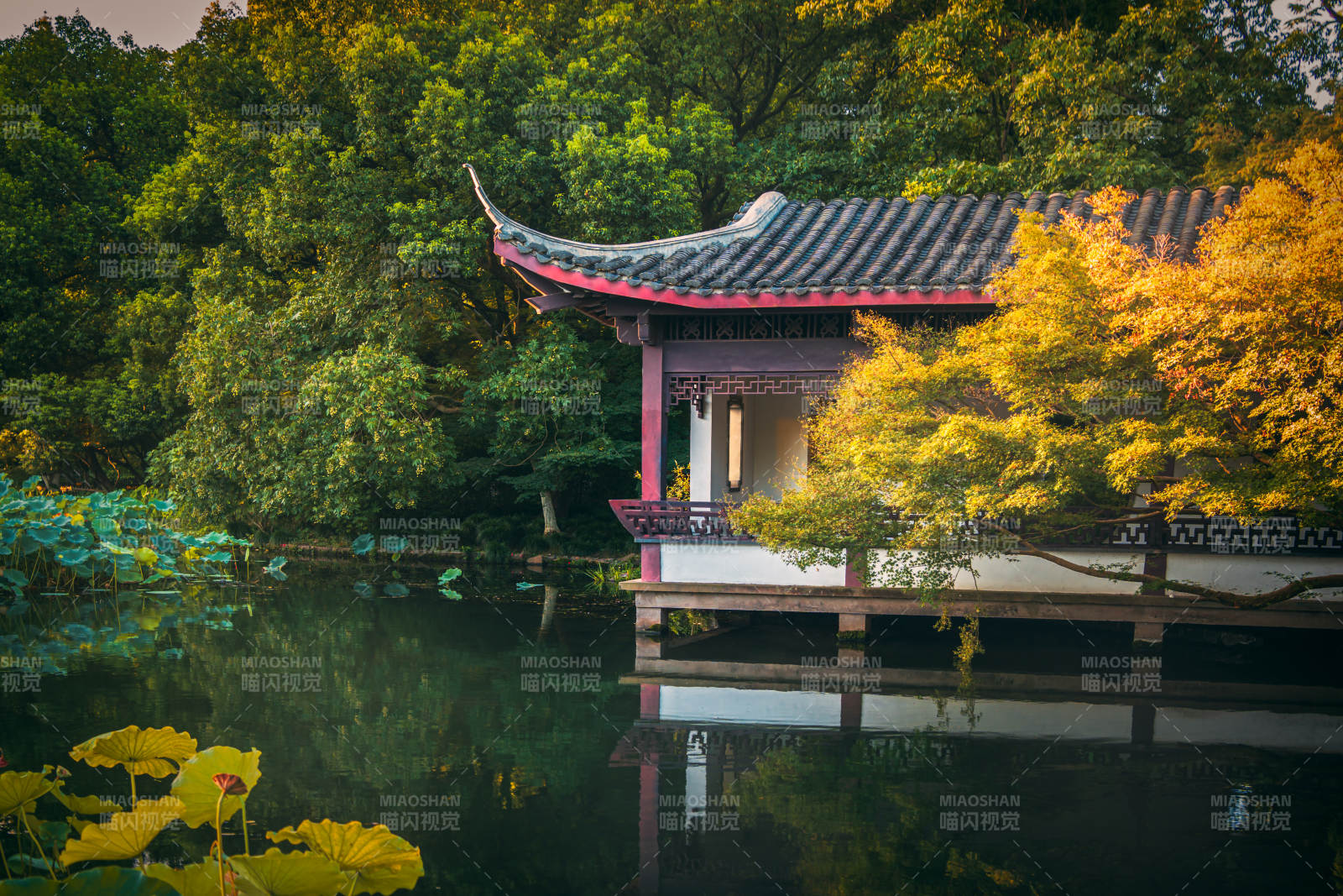 湖畔秋色亭影映水-杭州图片