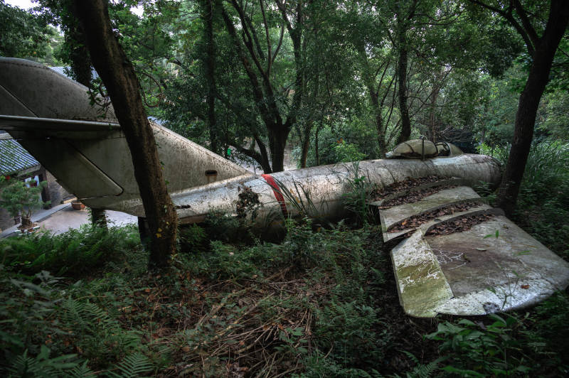废弃飞机在森林中沉睡图片