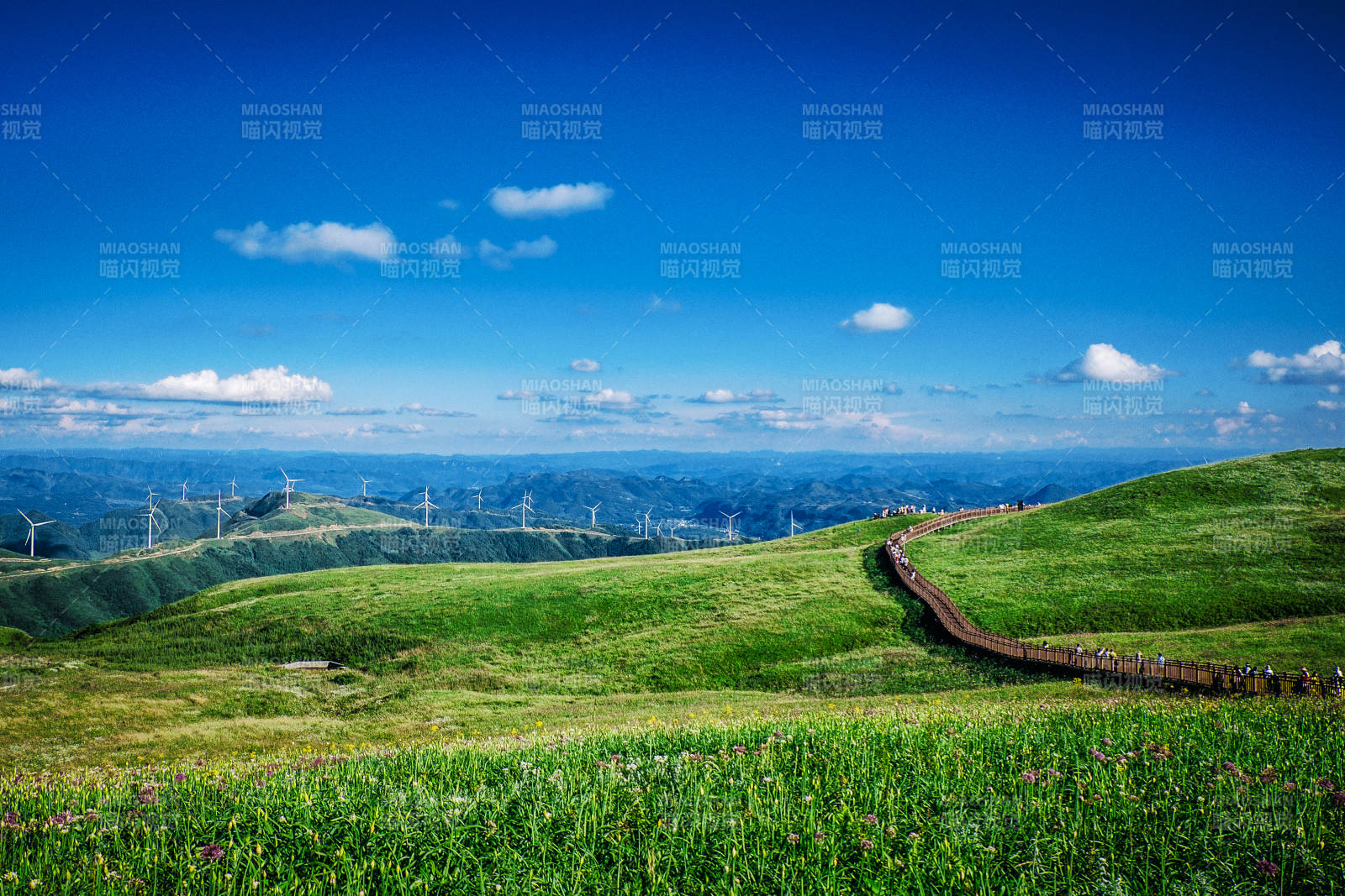 贵州阿西里西韭菜坪风景区图片