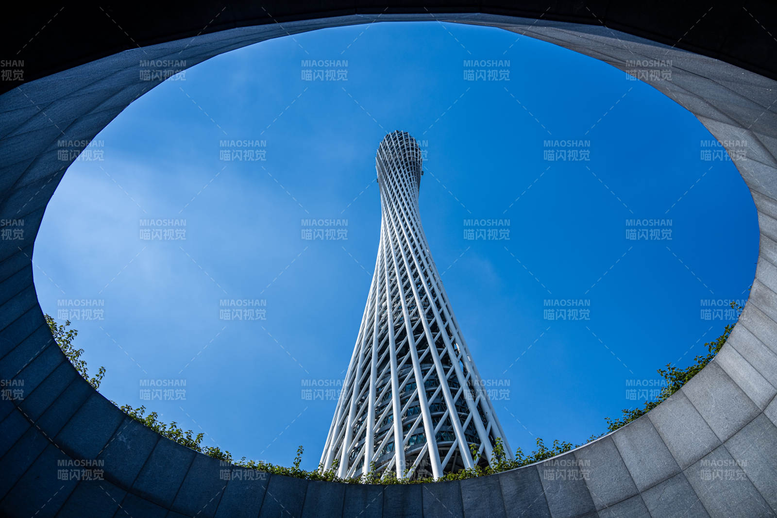 广州塔 仰望蓝天的雄姿图片