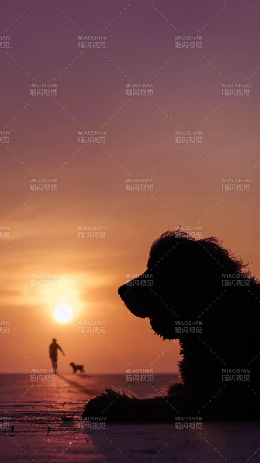 夕阳下的陪伴时光图片