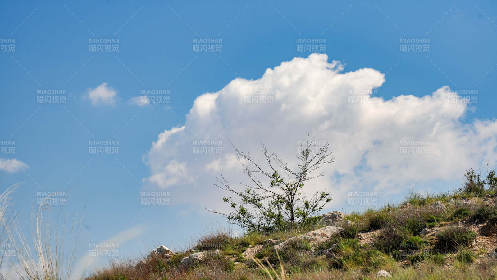 蓝天白云下的山丘景色图片