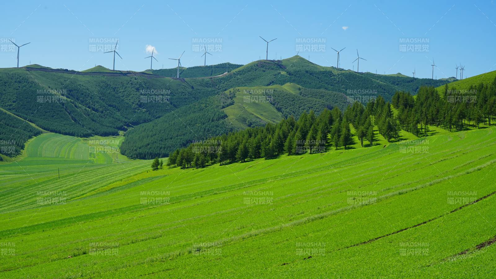 乌兰布统绿色田野与风车群景图片