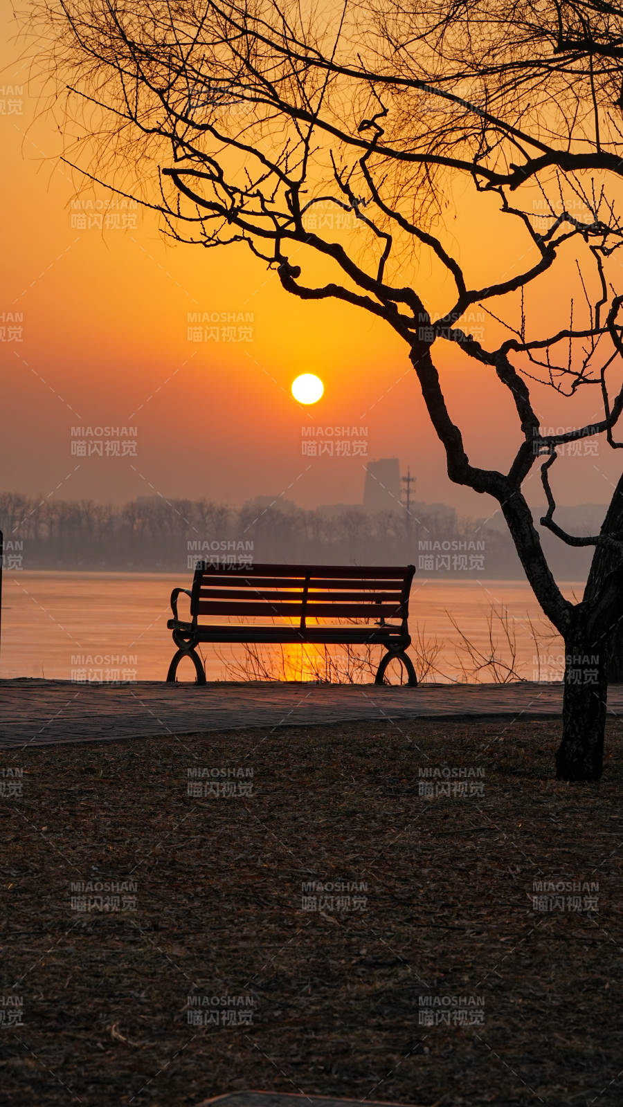 颐和园西堤夕阳下的静谧湖畔图片