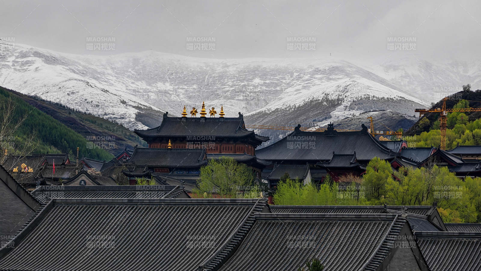 山西五台山雪山下的古建筑群图片