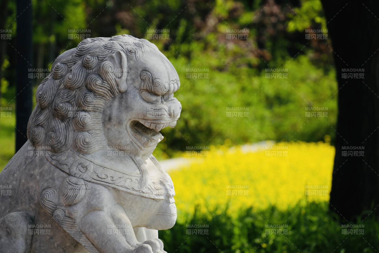 石狮静守 春花烂漫图片