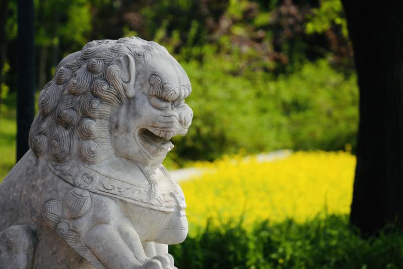 石狮静守 春花烂漫图片