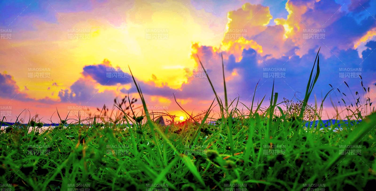 夕阳下的草地美景图片