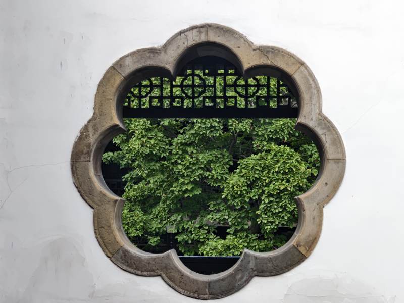 窗框中的绿意盎然图片