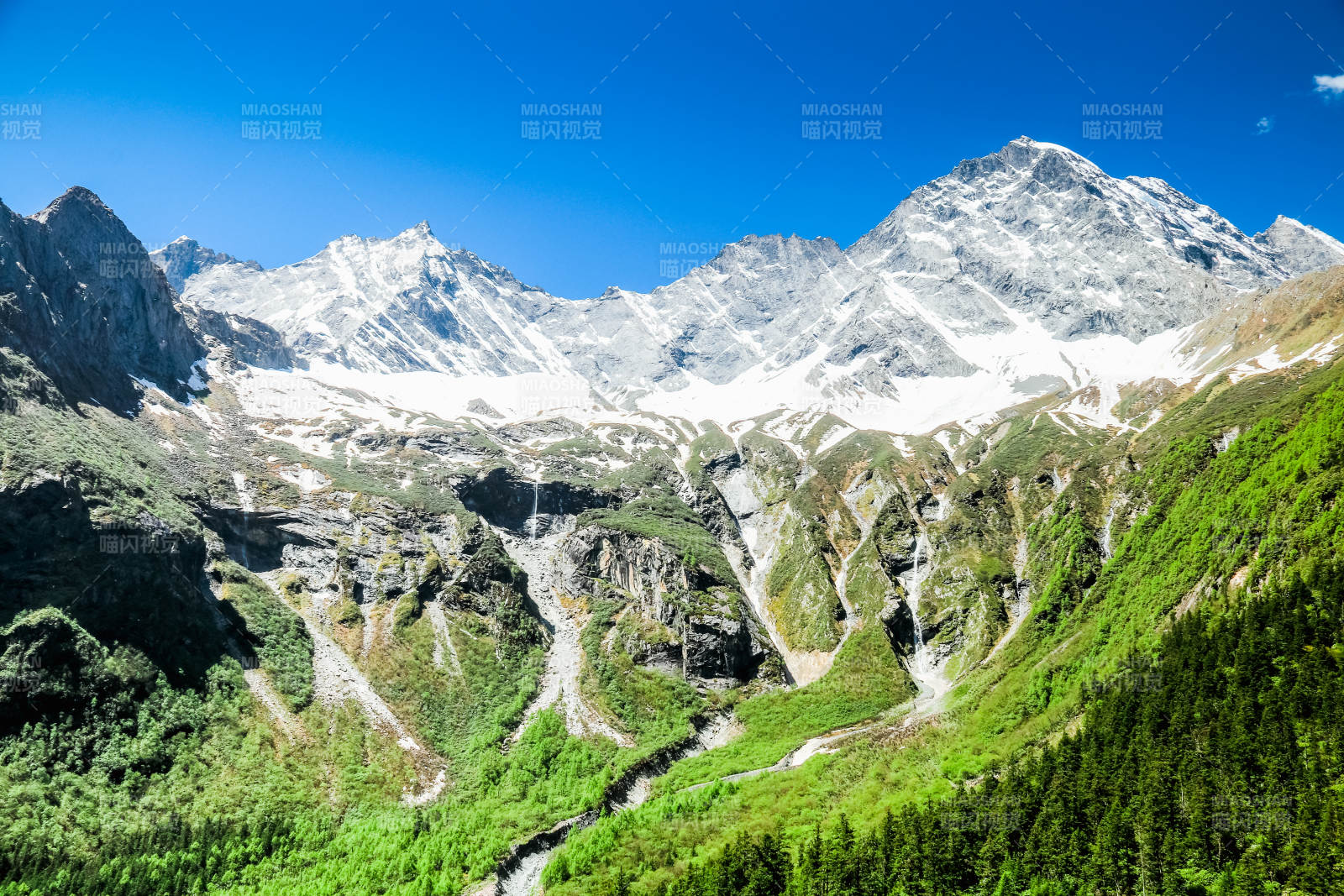 阿坝理小路雪山峡谷绿意盎然图片