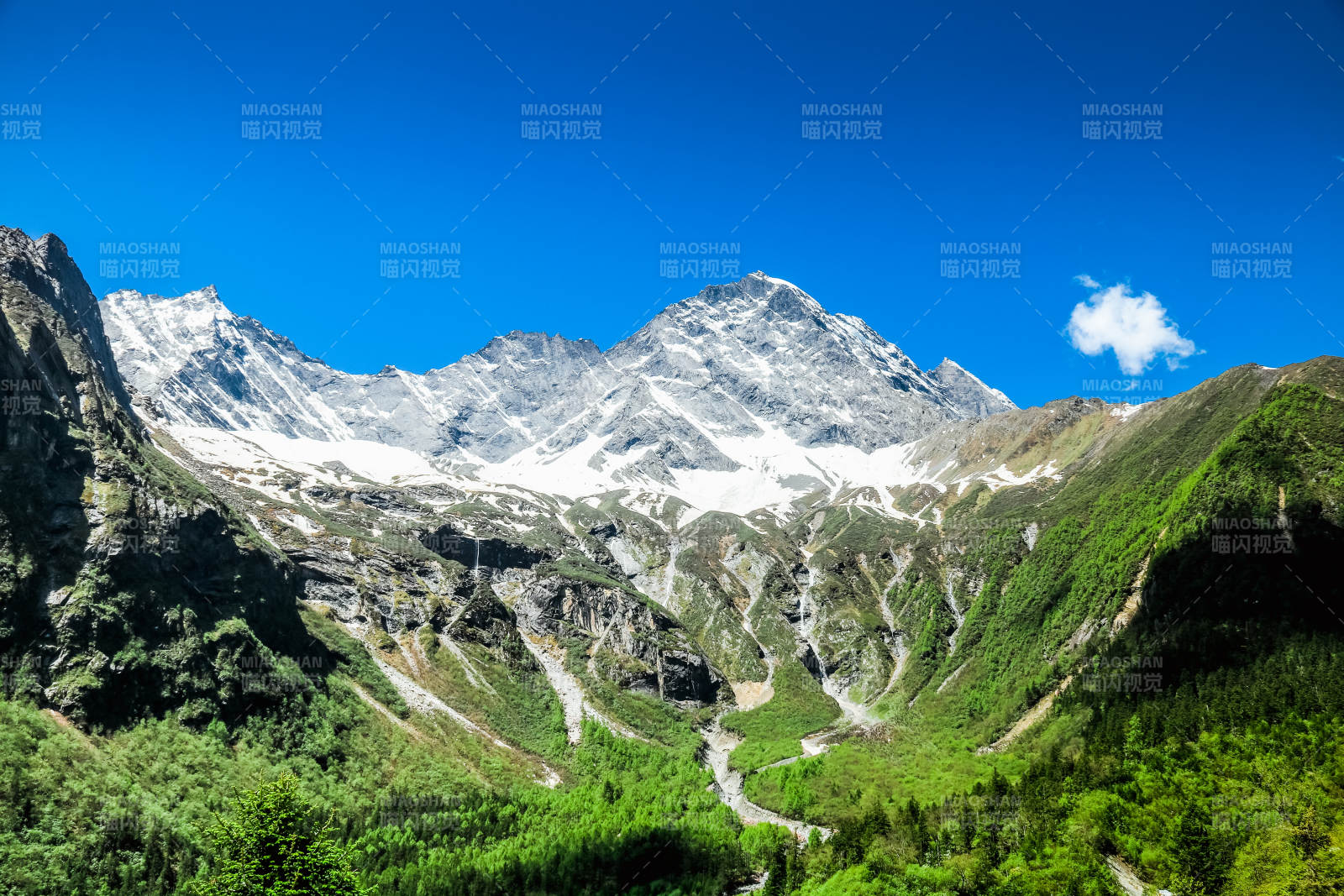 阿坝理小路雪山绿谷 蓝天白云图片