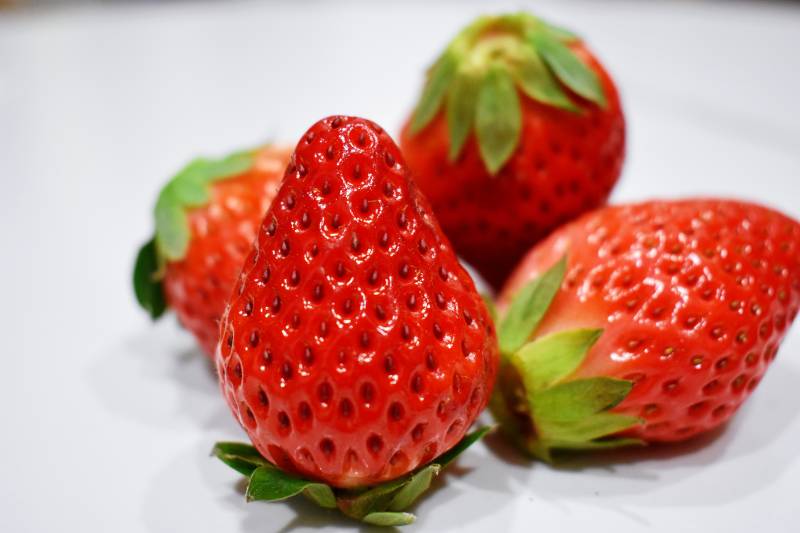 新鲜草莓特写图片