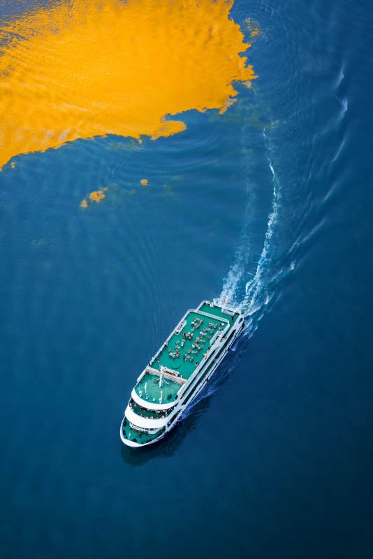 重庆“鸳鸯锅”图片