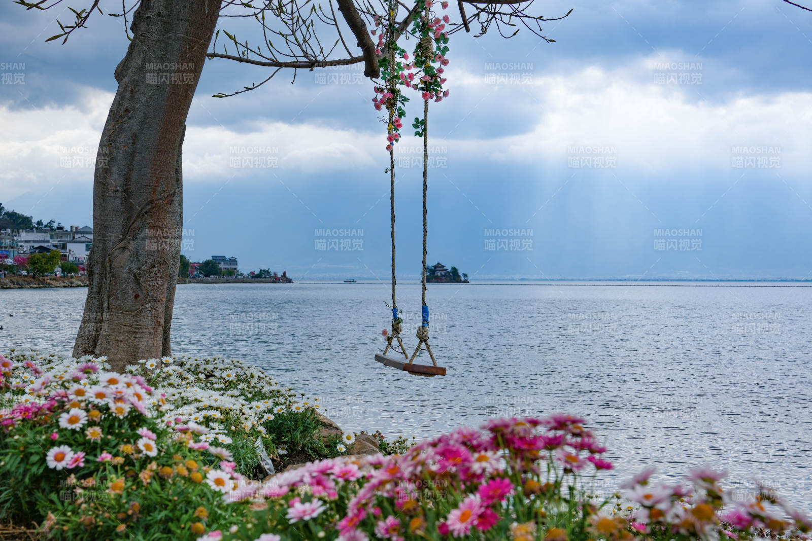 大理洱海边花丛中的秋千图片