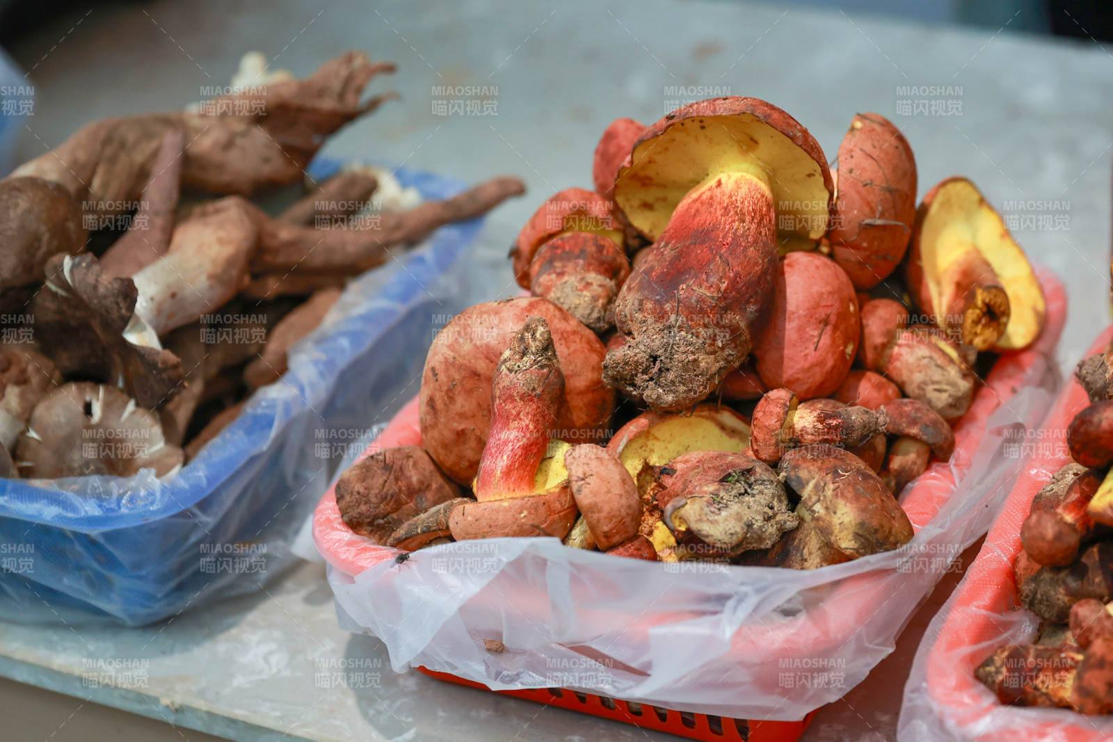 市场售卖的见手青图片