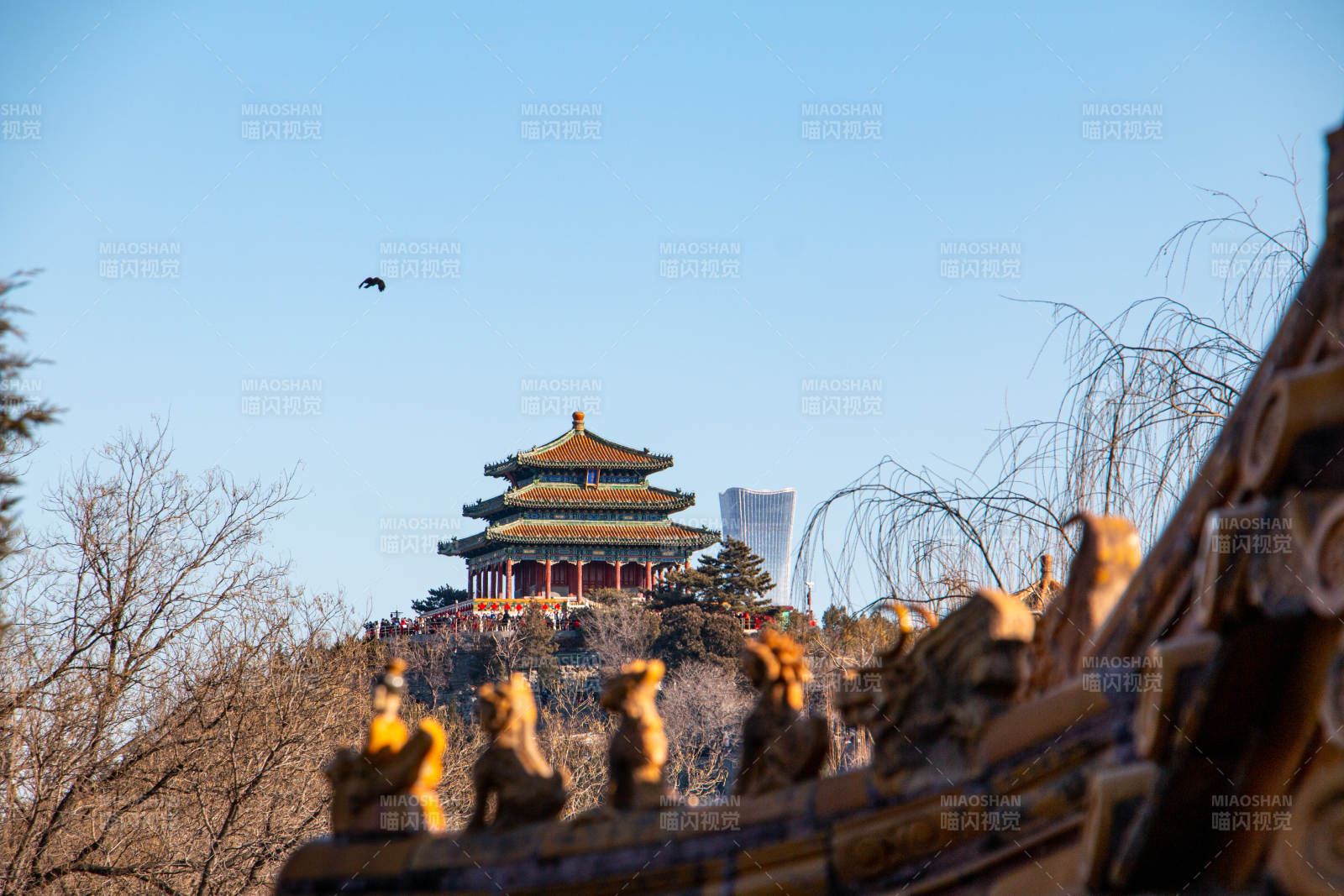 在北京北海公园眺望远处——景山公园万春亭图片