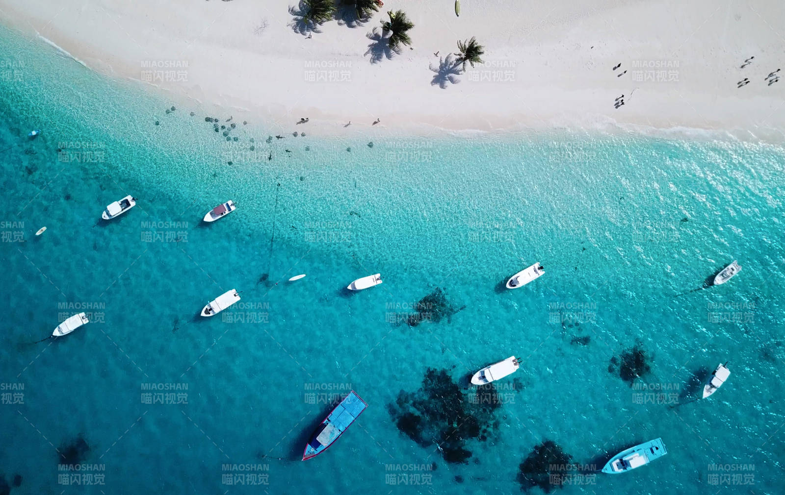 马尔代夫热带海滩与游艇图片