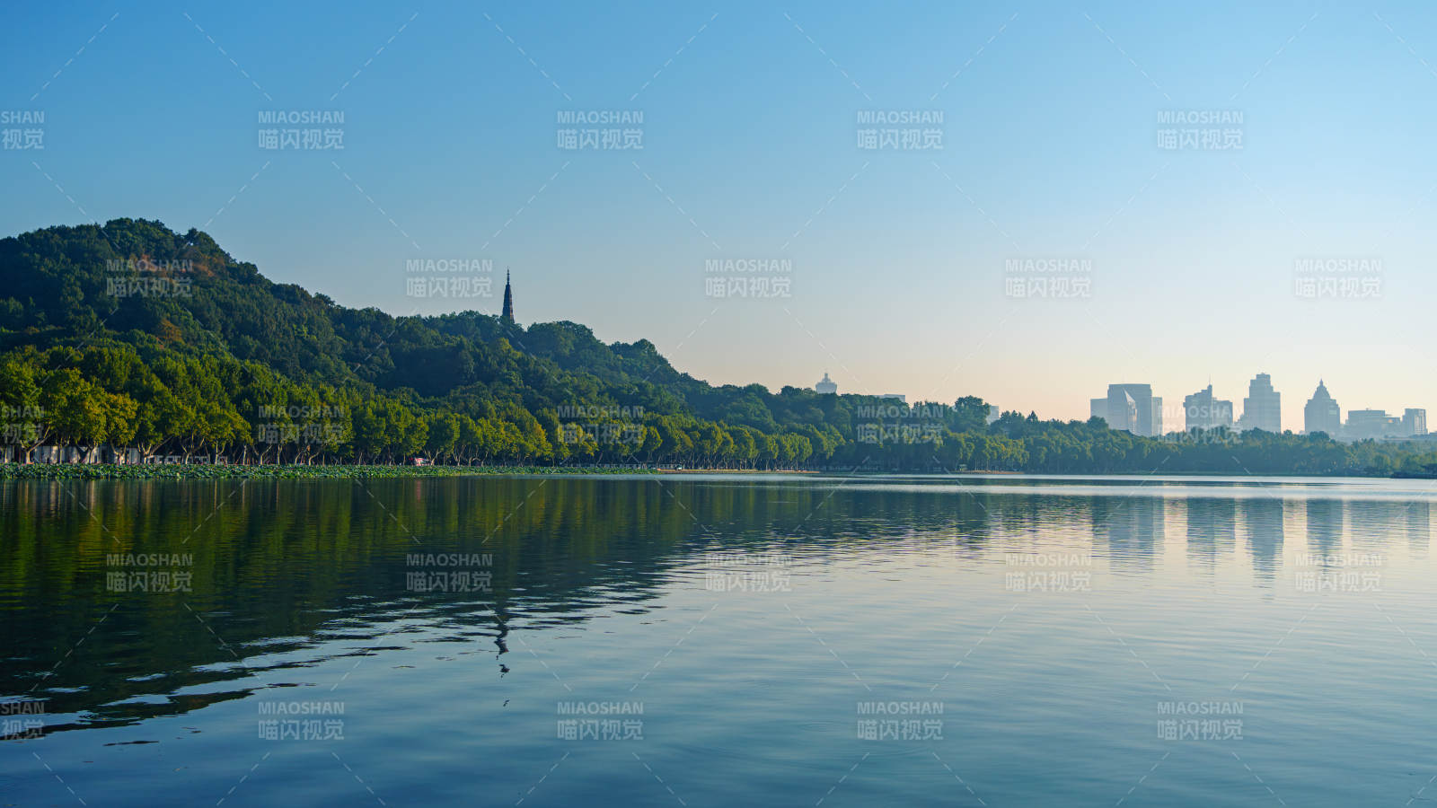 西湖晨景 静谧如画 孤山公园图片