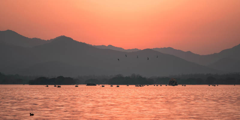 西湖夕阳 群鸟归巢图片