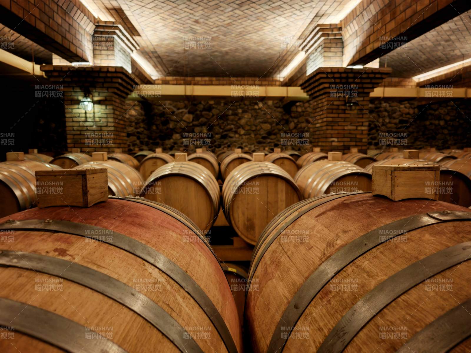 酒窖中的橡木桶图片