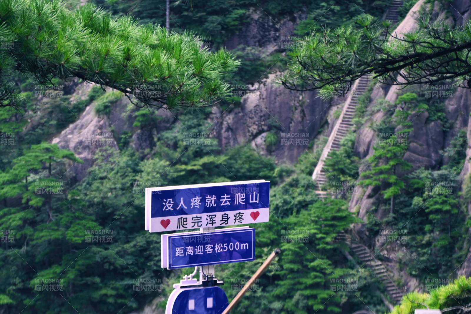 黄山山间步道与幽默路标图片