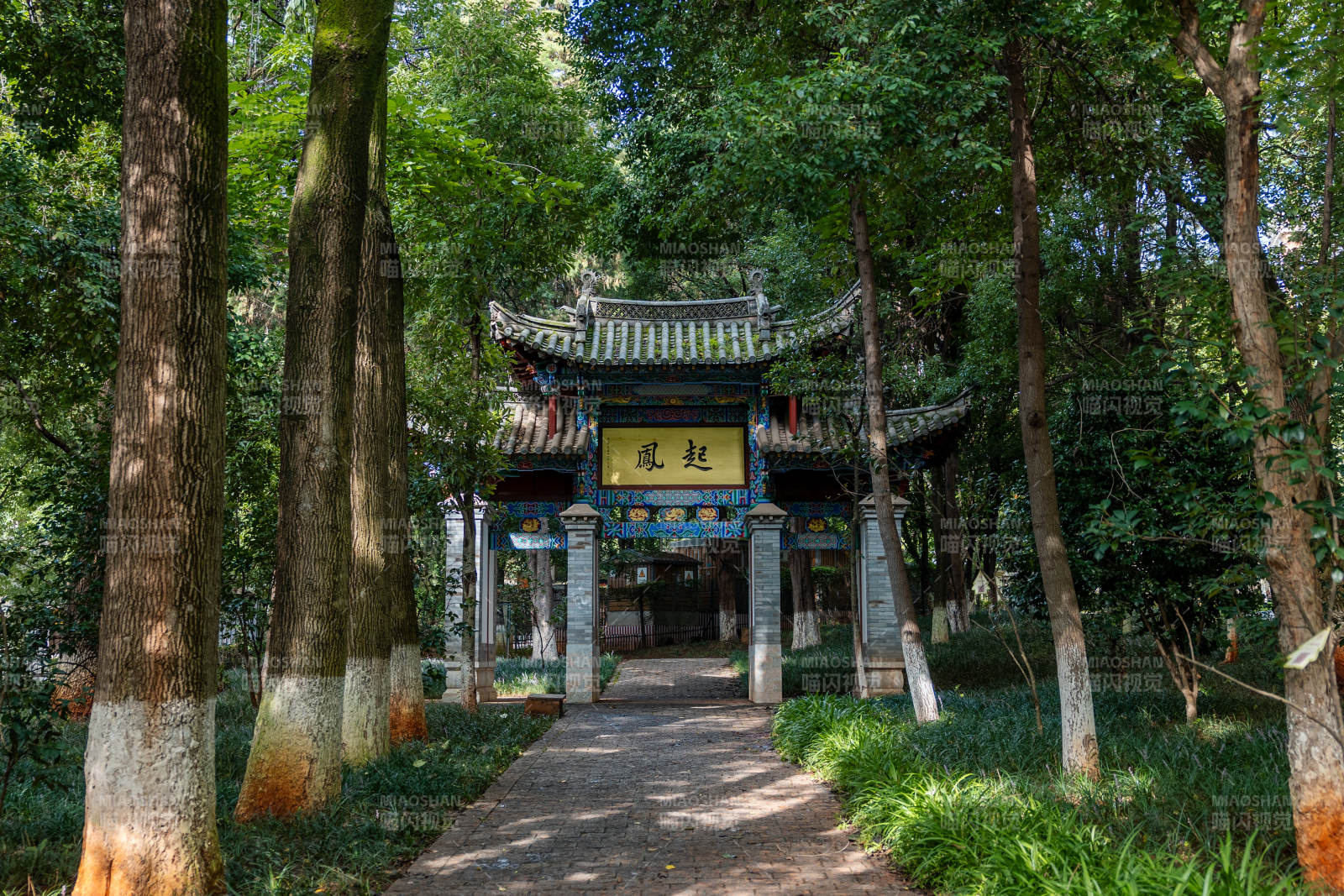 古寺幽径 绿树成荫图片