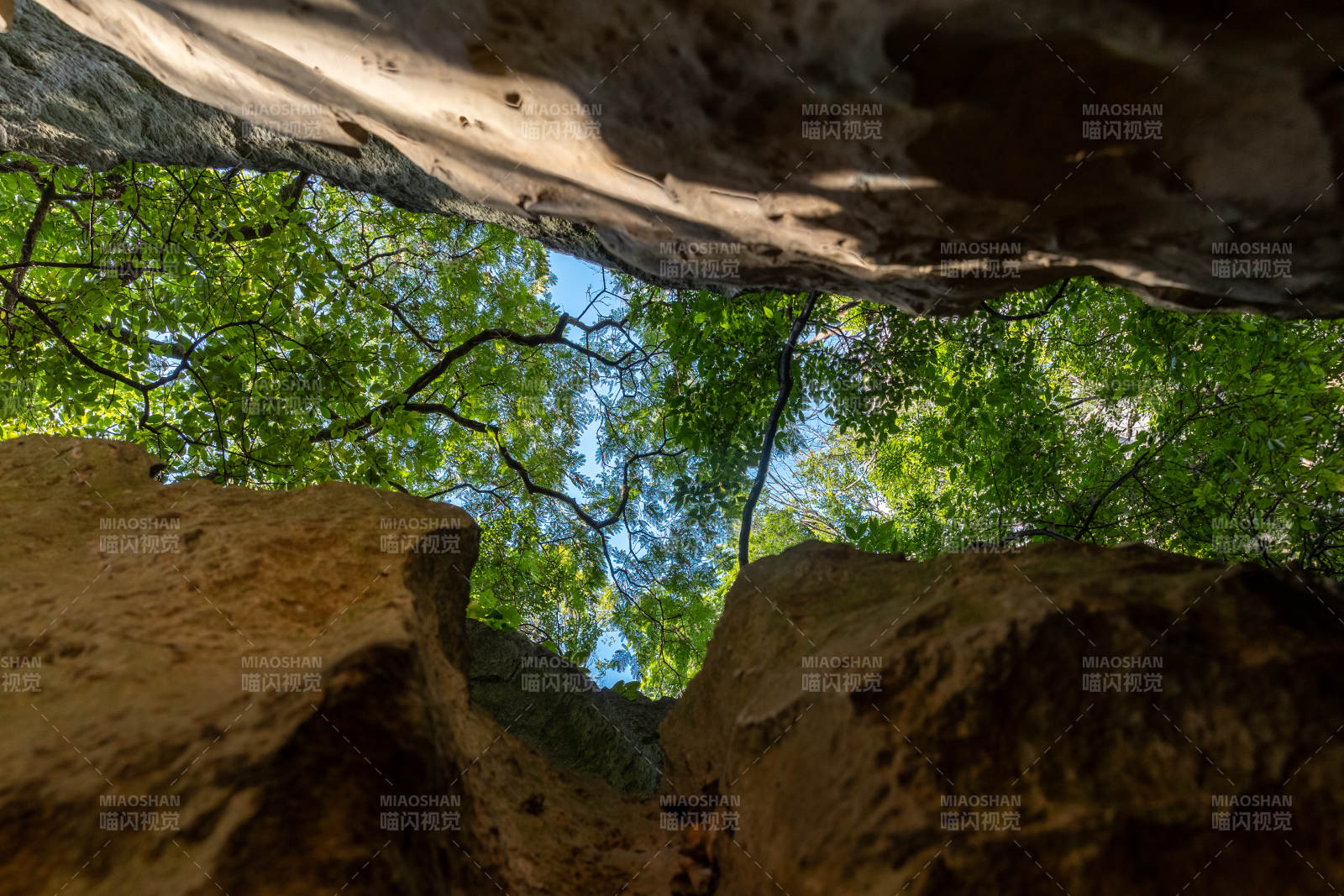 昆明石林岩洞仰望绿树蓝天图片