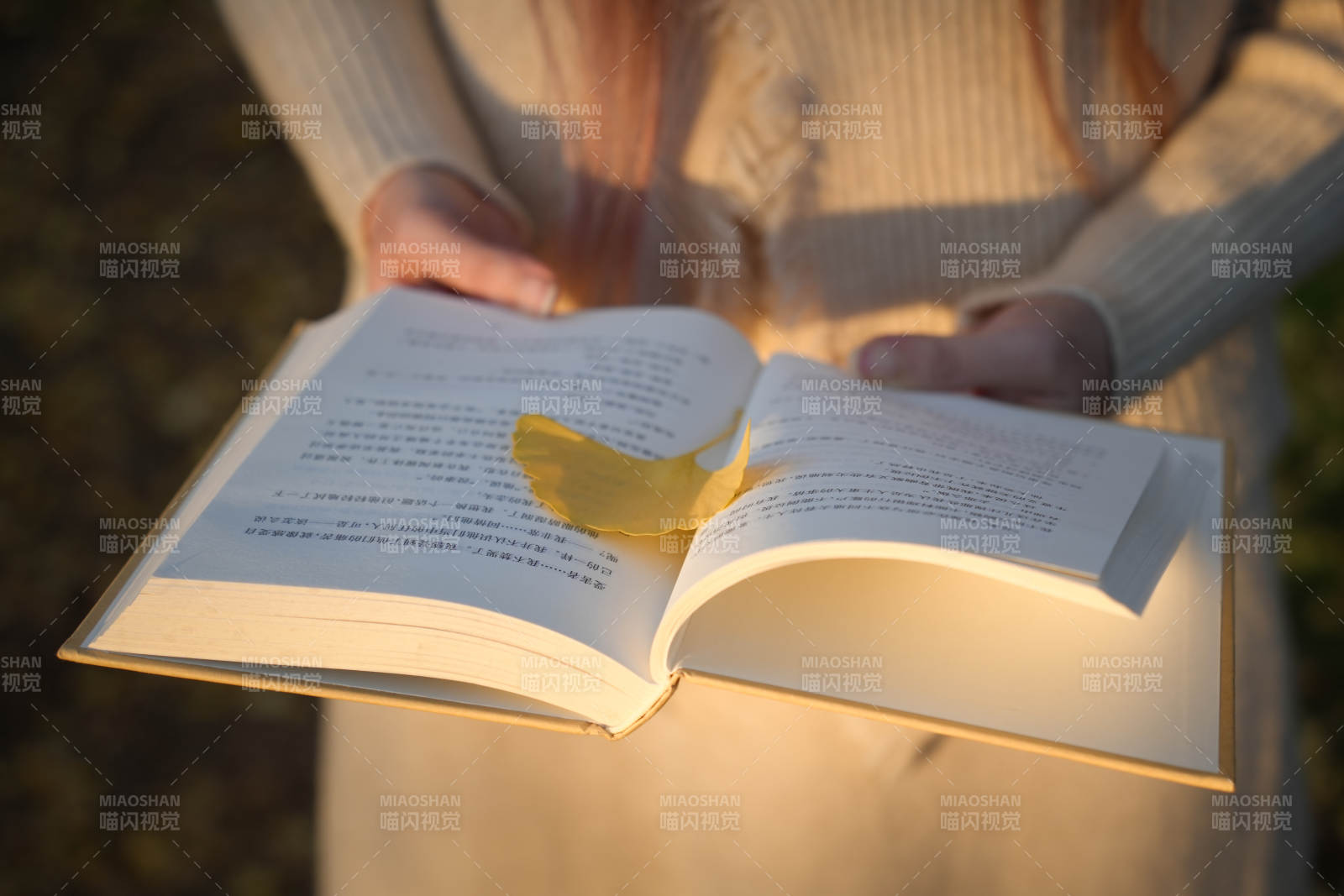 阳光下的阅读时光图片