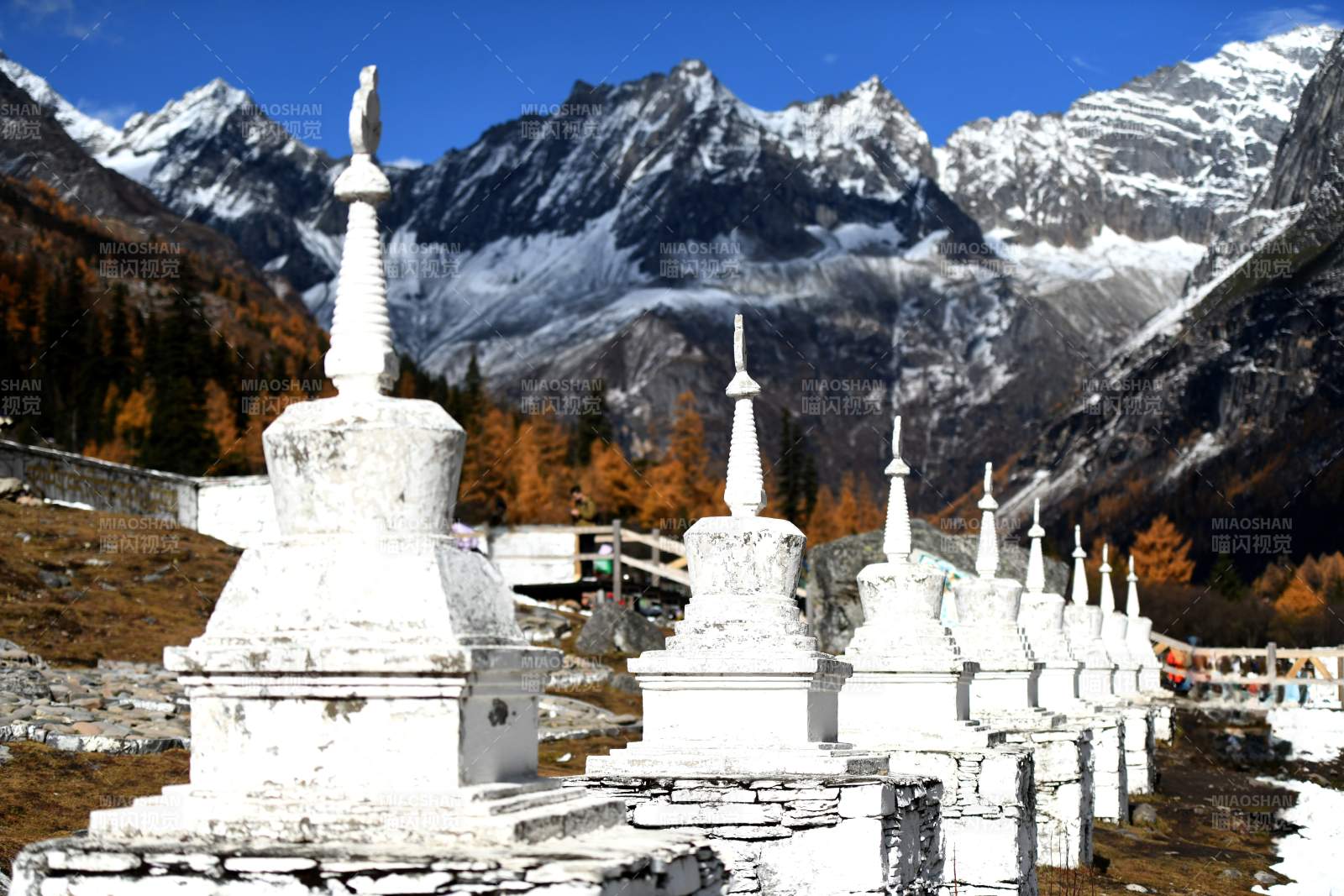 四川四姑娘山下的白色佛塔群图片