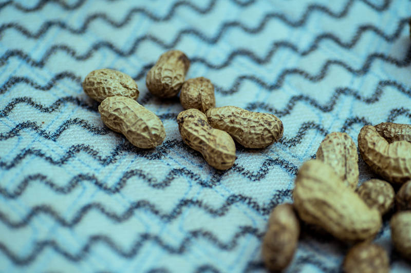 花生在蓝布上的特写图片
