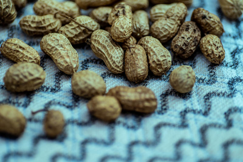 花生散落布上特写图图片