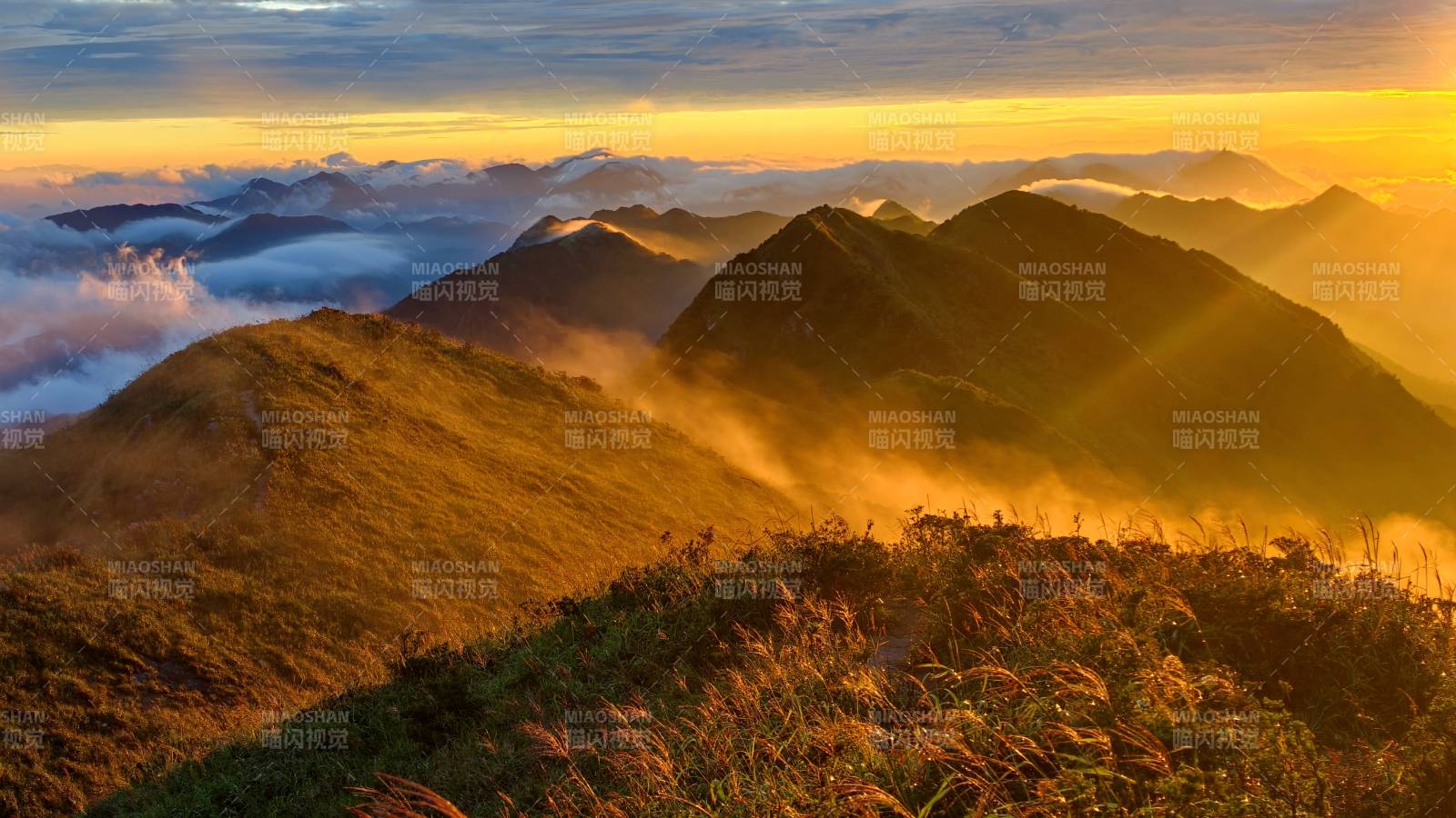 黄连盂山巅晨曦 云海金光图片