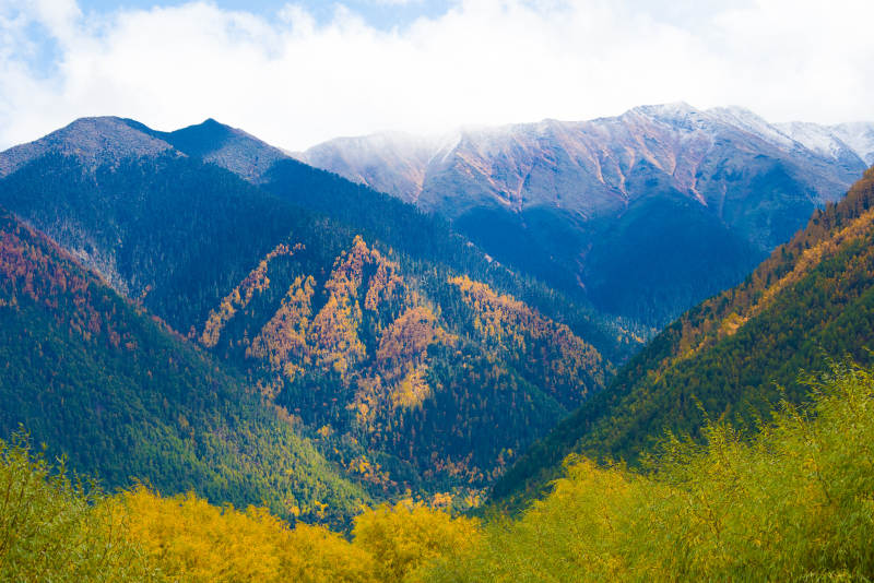 秋山云雾 金黄满谷图片