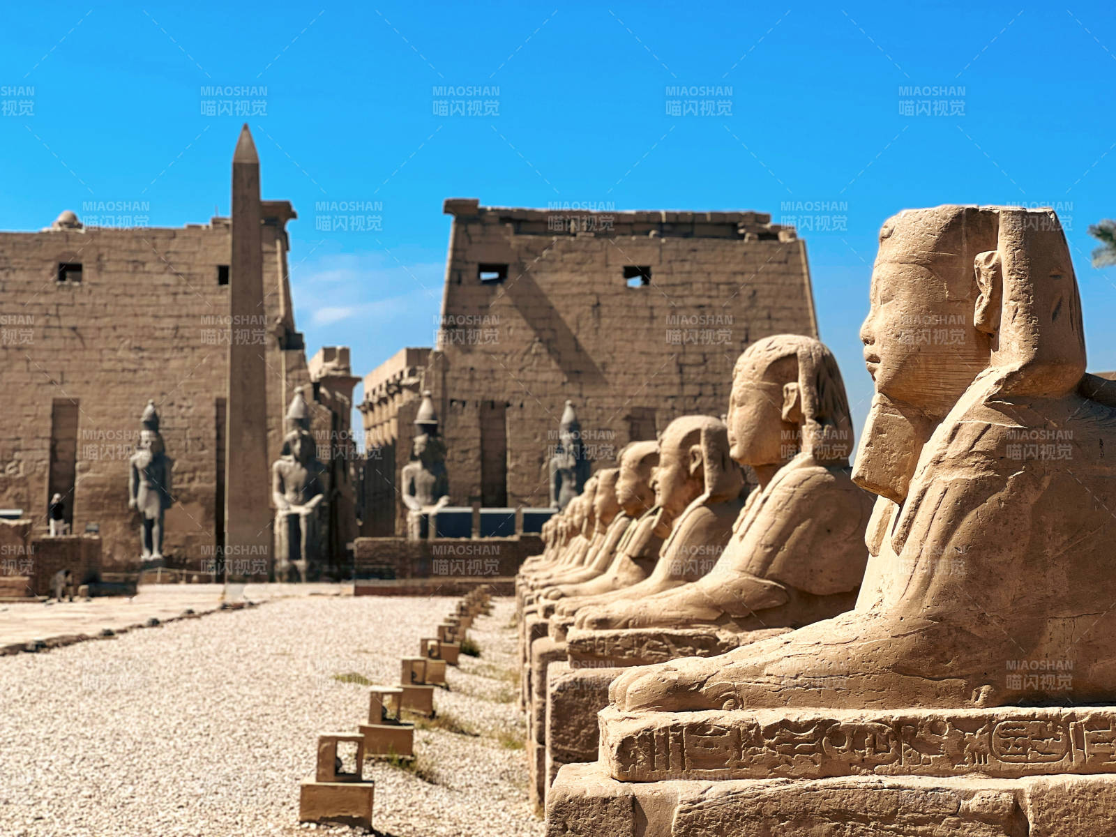 卢克索神庙的狮身人面像图片