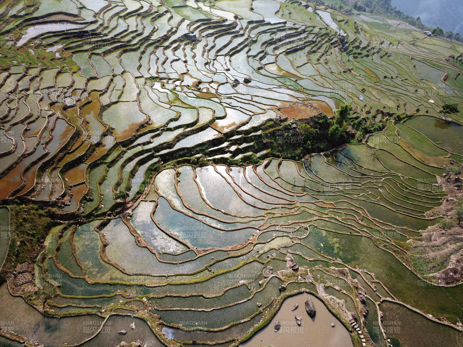 云南红河谷梯田水镜映山色图片