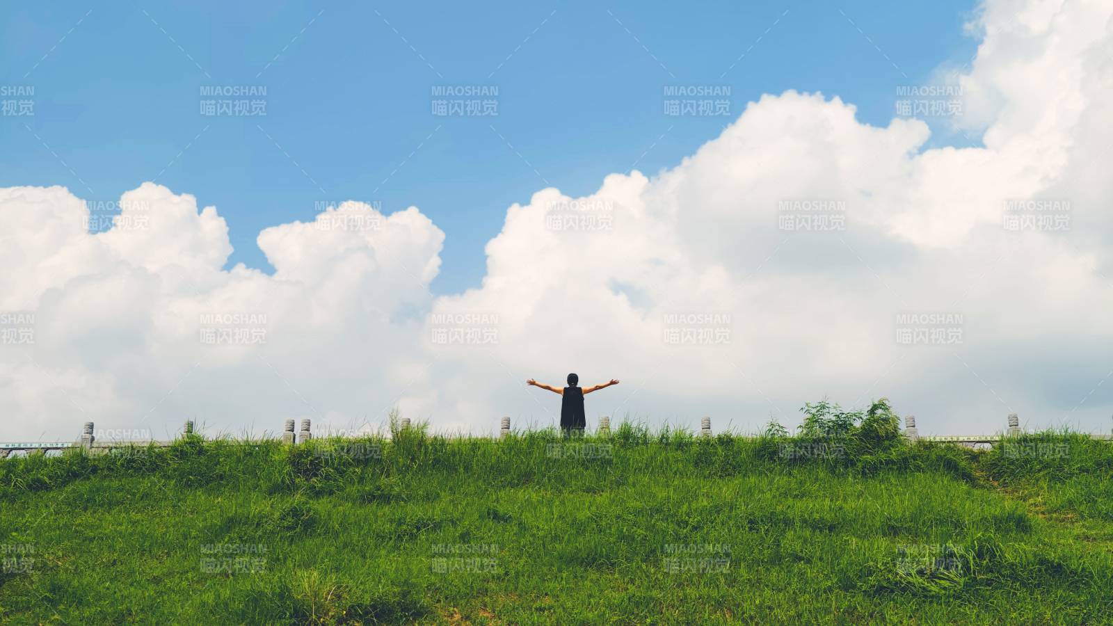 自由之魂 拥抱蓝天绿地图片