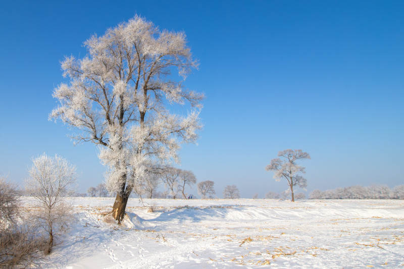 吉林市雾凇岛风光图片