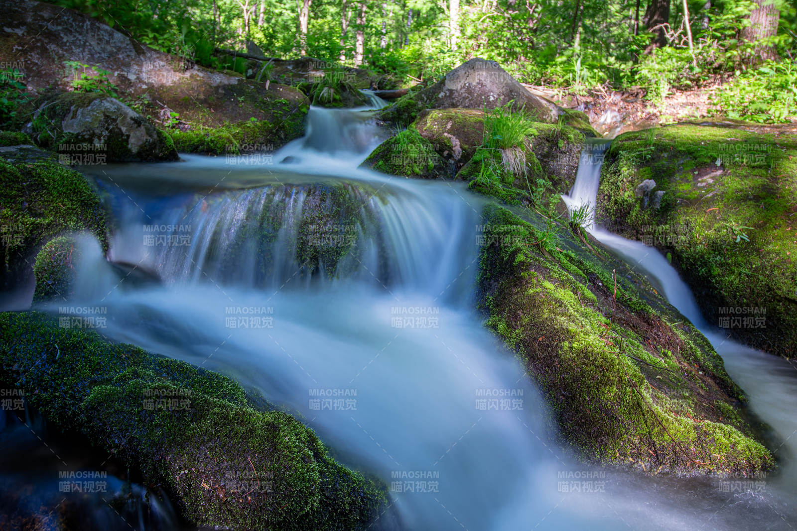 森林溪流--吉林蛟河太平沟图片