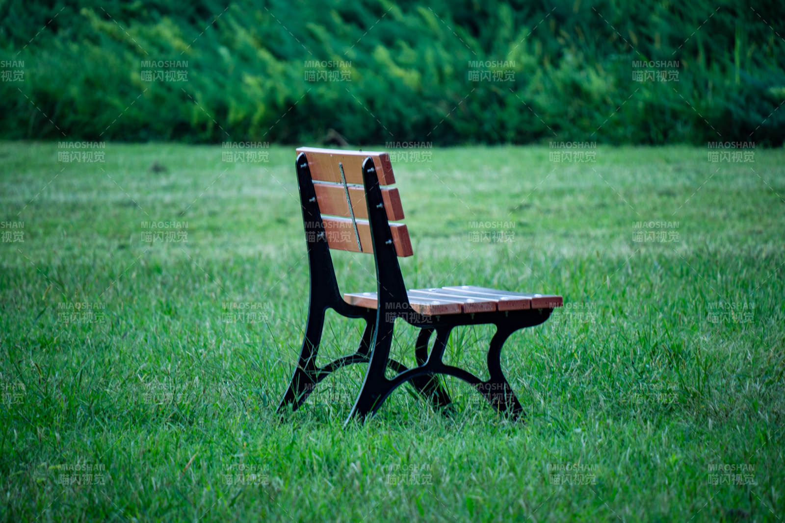 草地上的孤独长椅图片