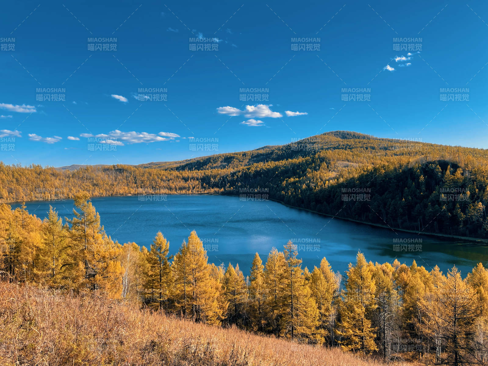 阿尔山天池金林美景图片