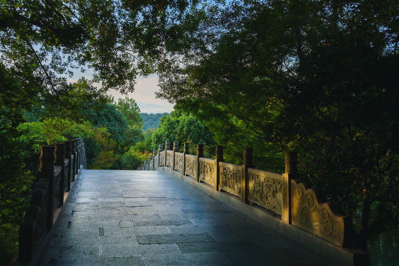 林间石桥 幽静自然图片