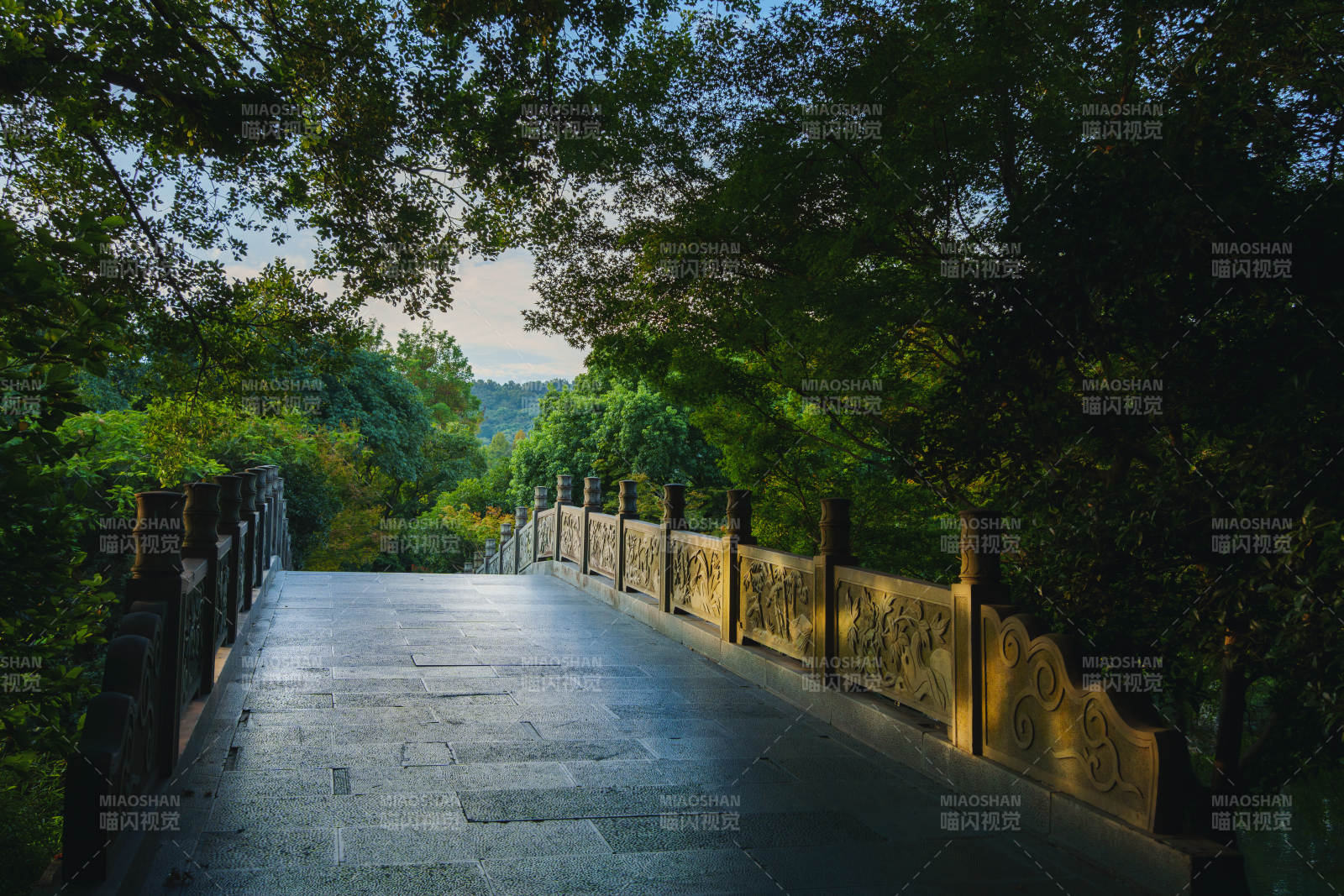 林间石桥 幽静自然图片