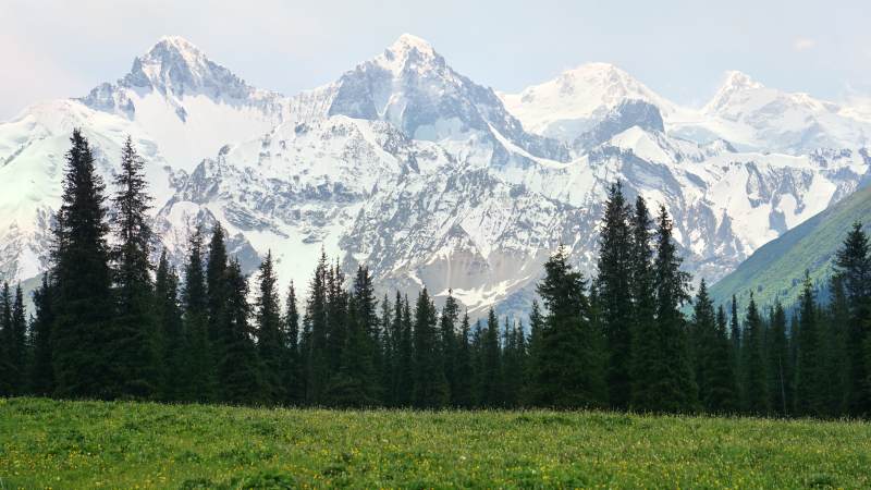 夏塔• 雪山与森林的宁静美景图片