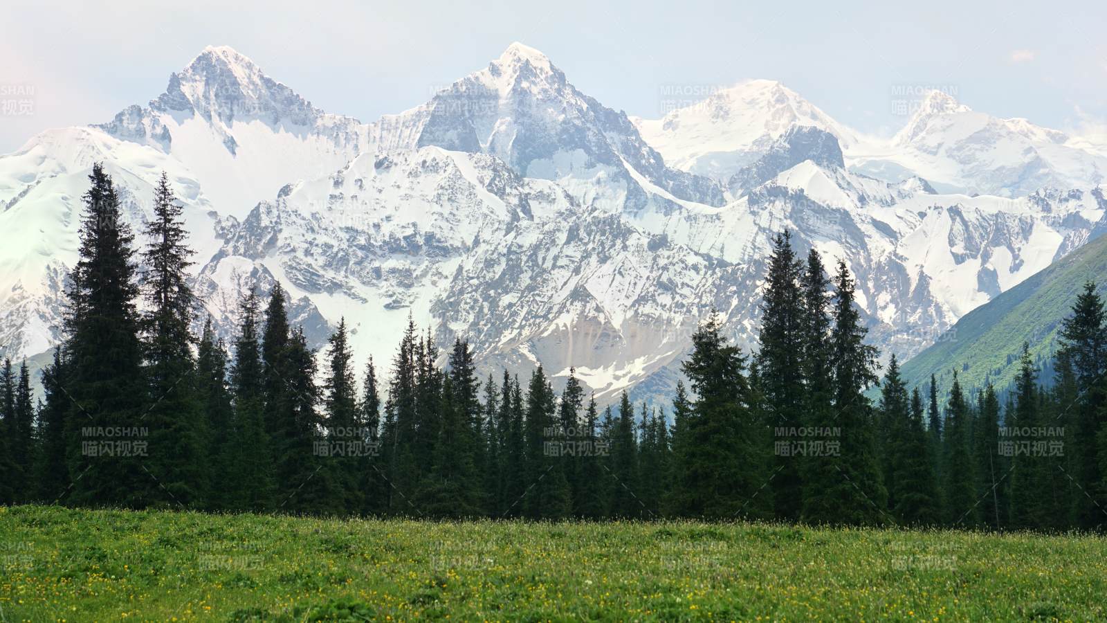 夏塔• 雪山与森林的宁静美景图片